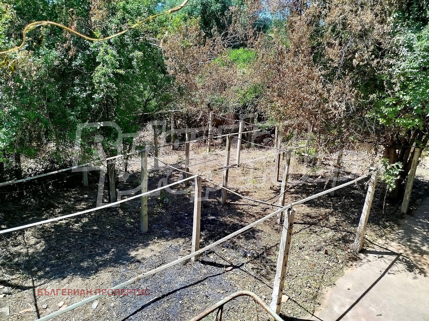 Продава КЪЩА, с. Риш, област Шумен, снимка 14 - Къщи - 53912149