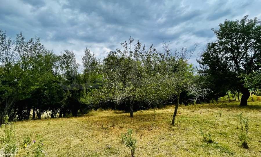 Продава КЪЩА, гр. Елена, област Велико Търново, снимка 5 - Къщи - 56315779