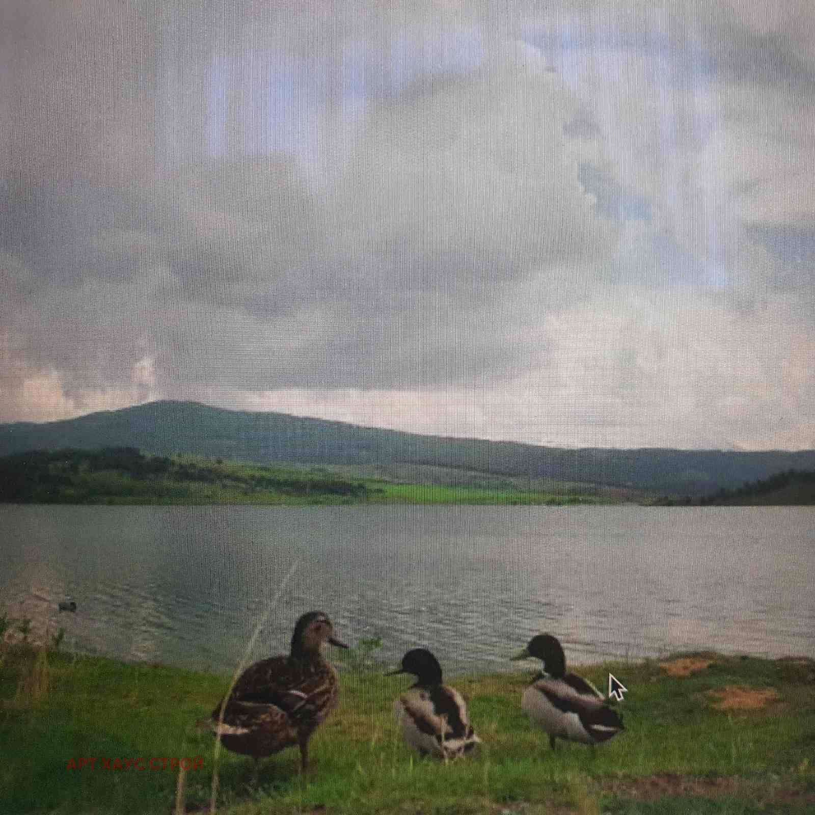 Продава ПАРЦЕЛ, с. Долна Диканя, област Перник, снимка 4 - Парцели - 54319780