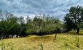 Продава  Къща област Велико Търново , гр. Елена , 150 кв.м | 15809992 - изображение [5]