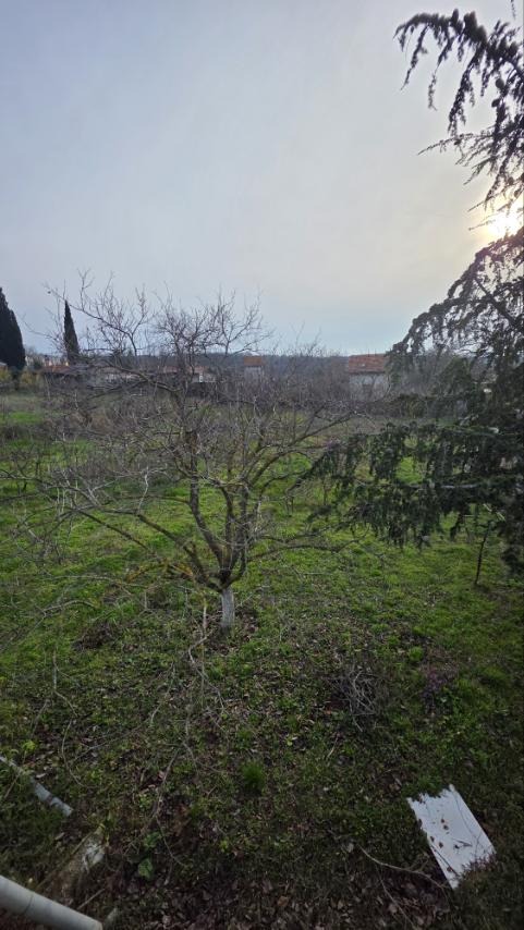 ������� ������ | Imot.bg � ����������� 5