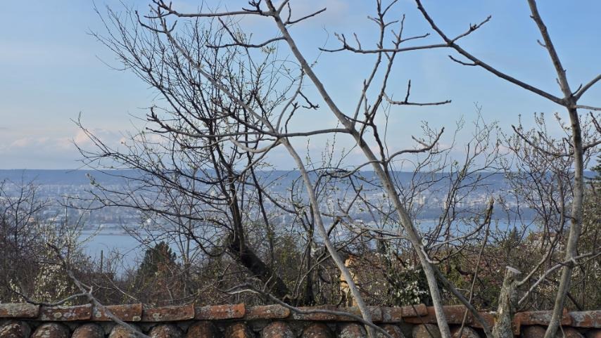 ������� ������ | Imot.bg � ����������� 2