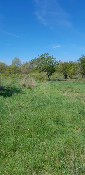 Juoni Kableškovo, Burgasin alue 1