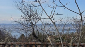 ����� ������� ������,���� �����, �-� ��������