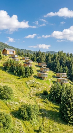 ������ ������� ���������� ����