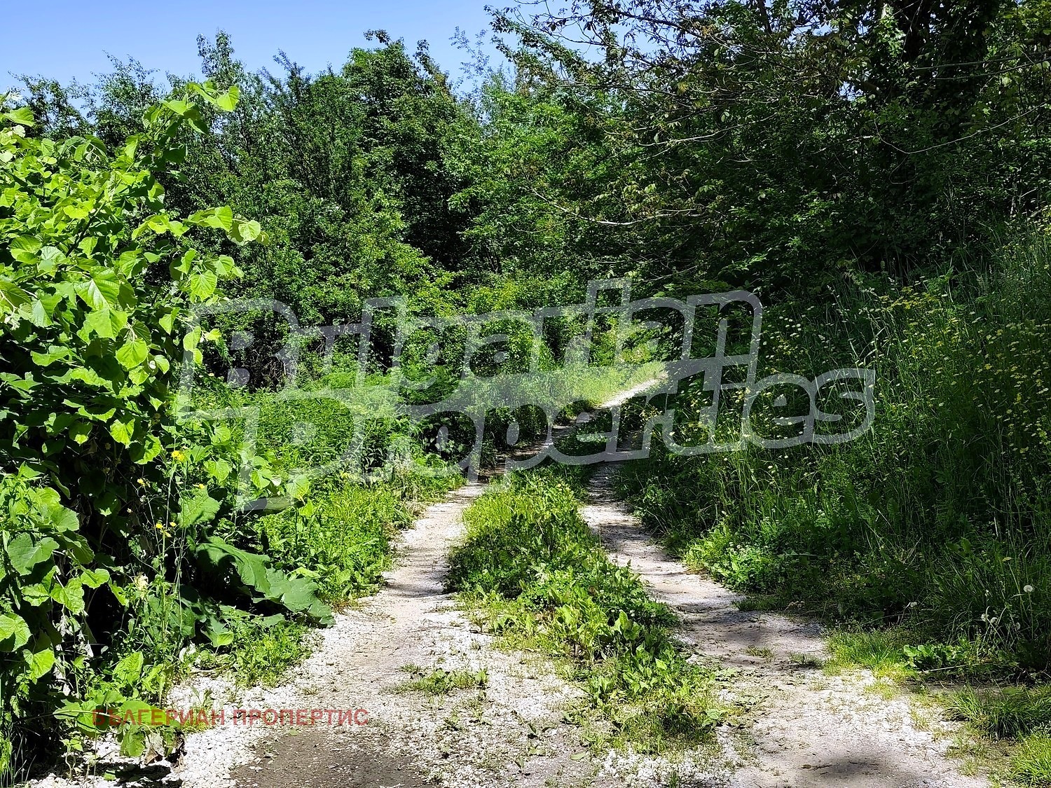 Продава КЪЩА, с. Черневци, област Габрово, снимка 7 - Къщи - 56297565
