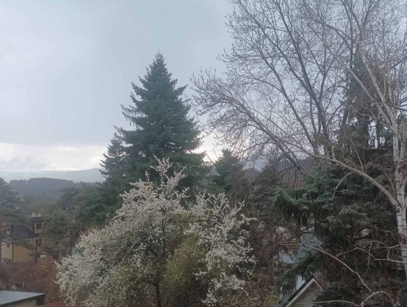 Продава 3-СТАЕН в град София, гр. Банкя - 90 кв.м / 278 000 € » 543 720.74 лв., ИМОТИ КОРЕКТКОМ