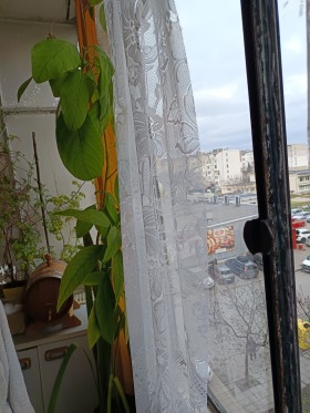������� 1-����� | Imot.bg � ����� ������ 5