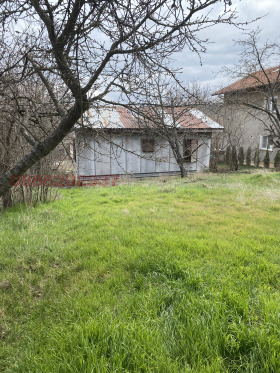 ������ ������� ����