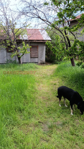 ������� ���� | Imot.bg � ����� ������ 5