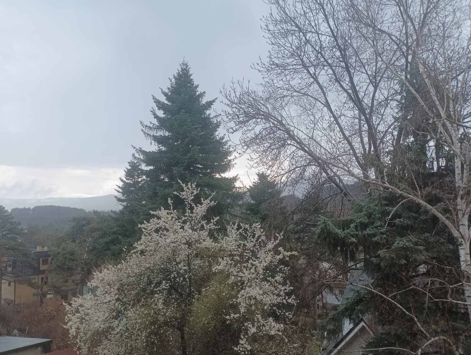 Продава 3-СТАЕН, гр. София, гр. Банкя