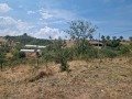 Продава ЗЕМЕДЕЛСКА ЗЕМЯ, гр. Кресна, област Благоевград, снимка 9