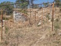 Продава  Земеделска земя област Благоевград , гр. Кресна , 149 дка | 77044398 - изображение [15]