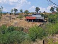 Продава  Земеделска земя област Благоевград , гр. Кресна , 149 дка | 77044398 - изображение [8]