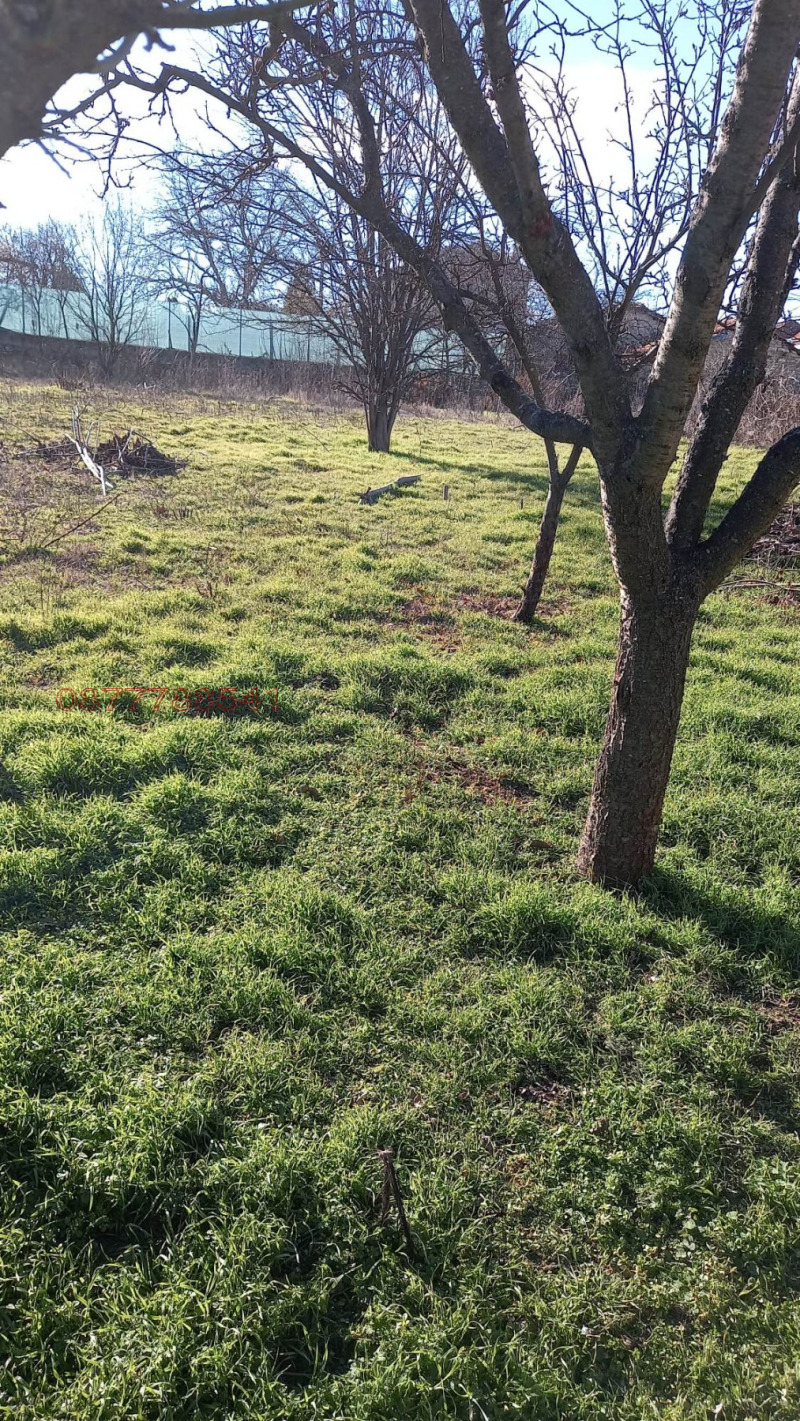 Продава КЪЩА, с. Яздач, област Стара Загора, снимка 5 - Къщи - 52785927