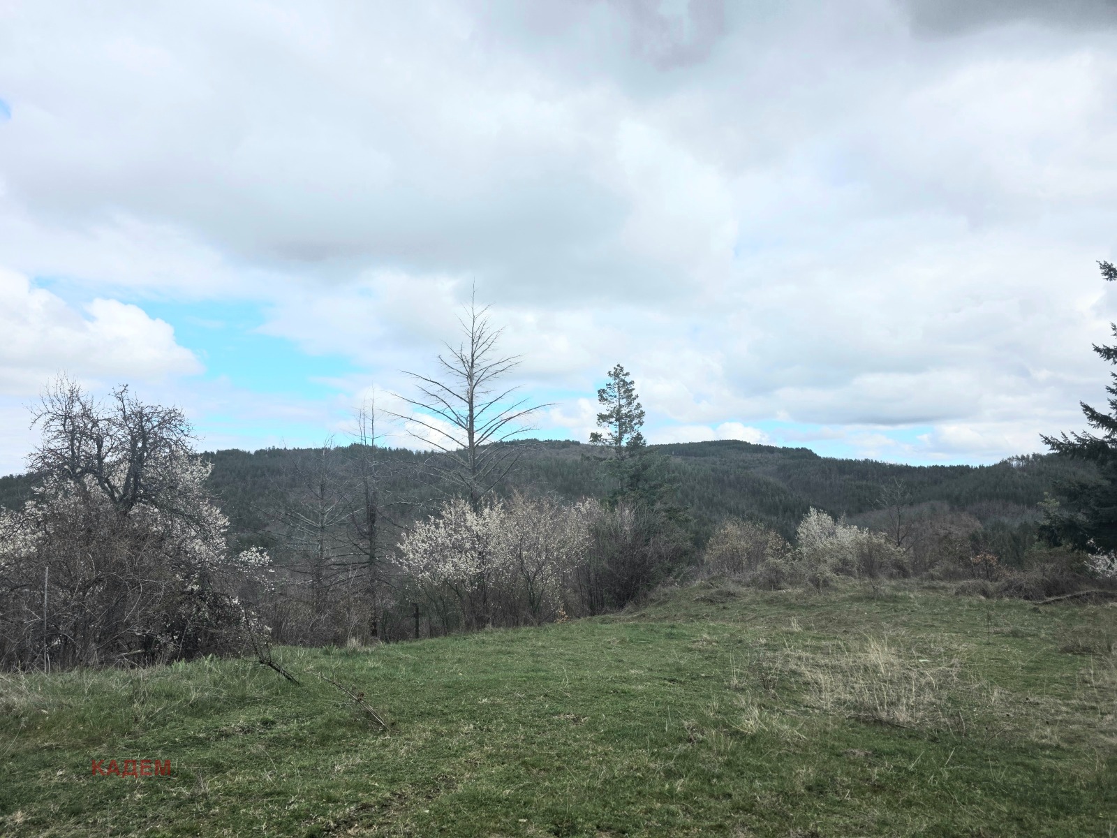 Продава КЪЩА, с. Длъхчево-Сабляр, област Кюстендил, снимка 2 - Къщи - 54040273