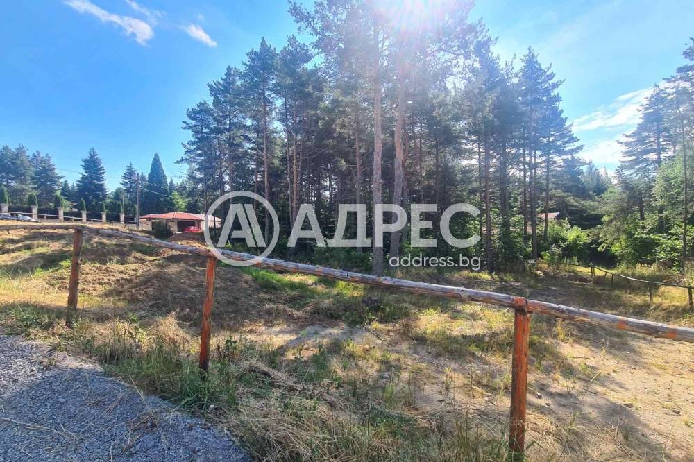 Продава ПАРЦЕЛ, в.з.Ярема, област София област, снимка 2 - Парцели - 55923059