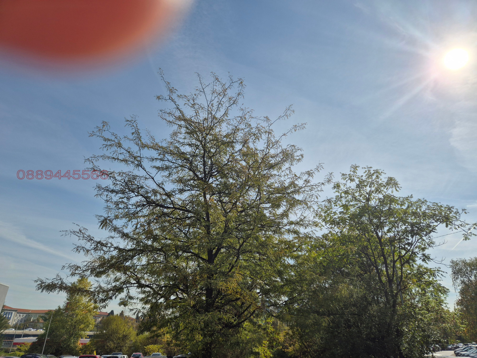 ������� ������ | Imot.bg � ����������� 1