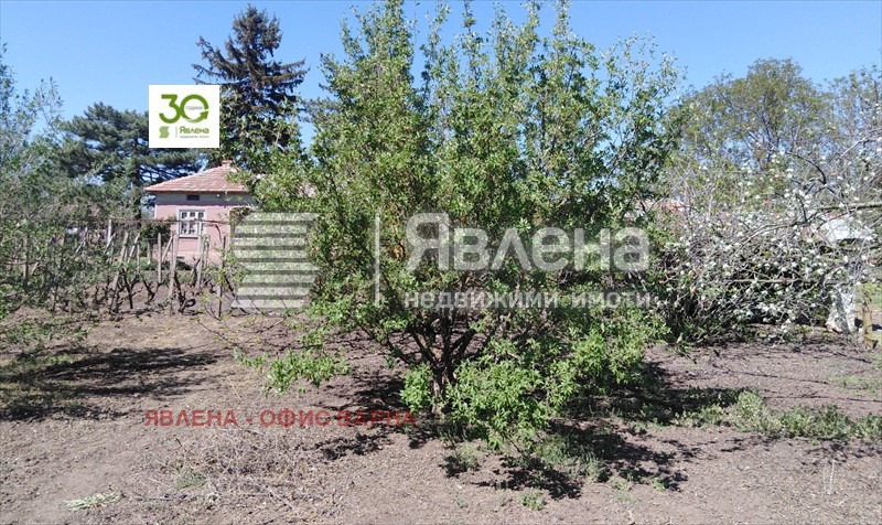 Продава КЪЩА, с. Белгун, област Добрич, снимка 6 - Къщи - 54259676