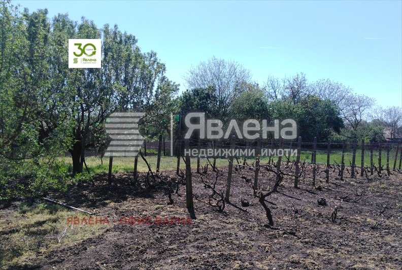 Продава КЪЩА, с. Белгун, област Добрич, снимка 8 - Къщи - 54259676