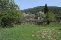 Продава ПАРЦЕЛ, област Пловдив, гр. Сопот • 25000 € • 56452046 — Holmes.bg