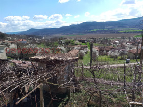 ����� ������� ����,�. ������, ������ �����