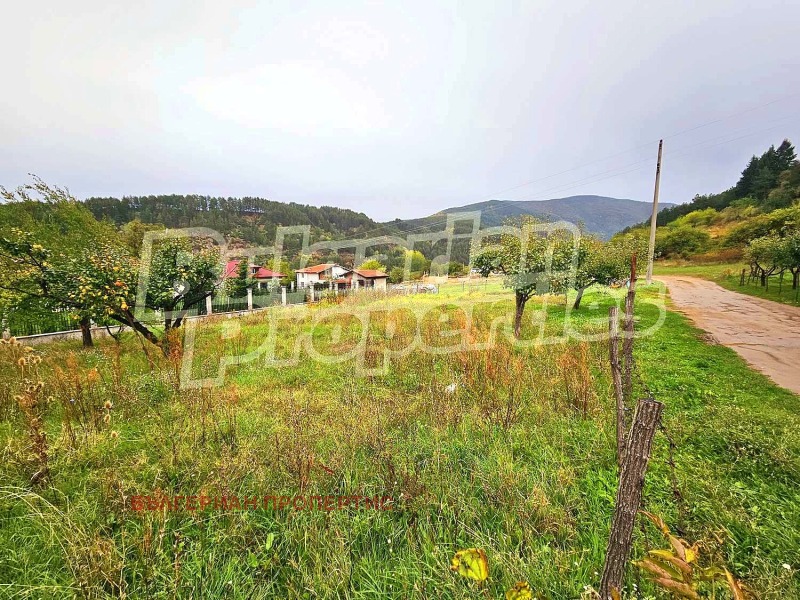 À vendre  Parcelle région Kyoustendil , Sapareva banya , 667 m² | 69717702 - image [6]