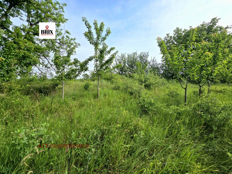 Продава  Парцел, град Русе, в.з. Образцов Чифлик • 10 000 EUR • ID 10370958 — holmes.bg - [1] 