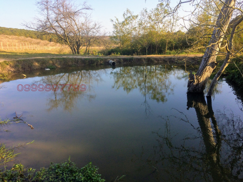 Продава ЗЕМЕДЕЛСКА ЗЕМЯ, с. Бенковски, област Варна, снимка 2 - Земеделска земя - 53143333