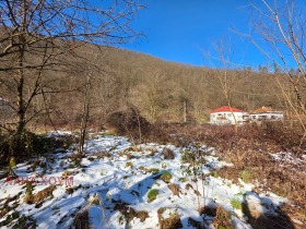 ������� ������ | Imot.bg � ����� ������ 6