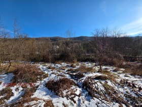 ������� ������ | Imot.bg � ����� ������ 8