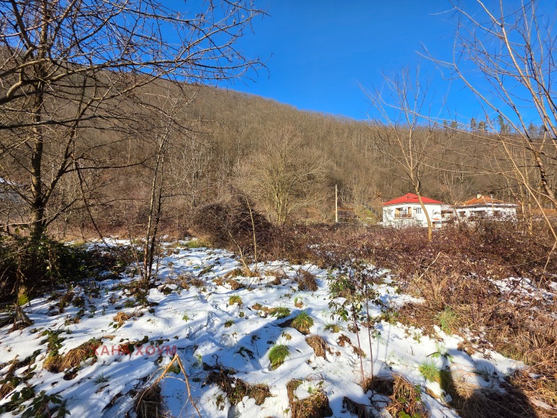 Продава ПАРЦЕЛ, с. Черни Вит, област Ловеч, снимка 5 - Парцели - 53110006