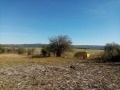 Продава ПАРЦЕЛ, с. Пауново, област София област, снимка 2