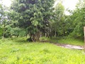 Продава ПАРЦЕЛ, гр. Долна баня, област София област, снимка 1