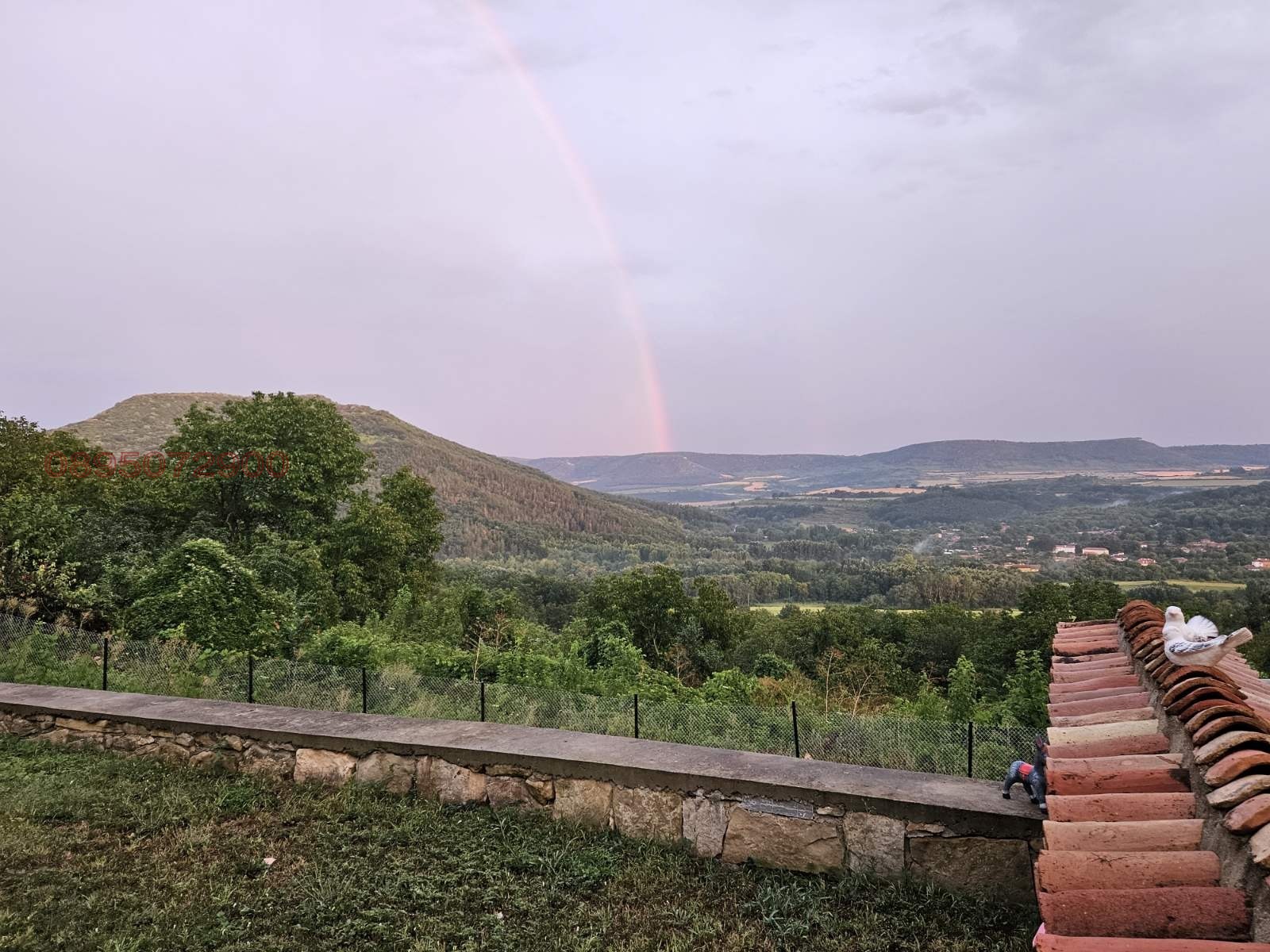 ������� ���� | Imot.bg � ����������� 8