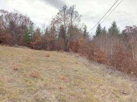 ������� ������ | Imot.bg � ����� ������ 2