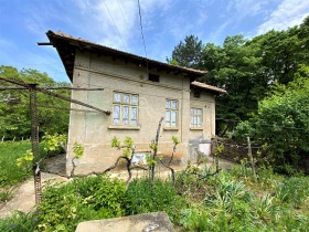 Продажба на имоти в с. Димча, област Велико Търново - изображение 9 