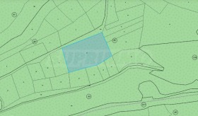 ����� ������� ������,�. ����� ������, ������ �����