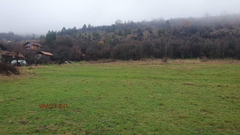 Продава ПАРЦЕЛ, с. Долни Романци, област Перник, снимка 5 - Парцели - 52591883