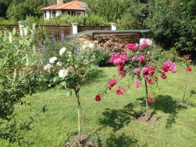 ������� ���� | Imot.bg � ����� ������ 16