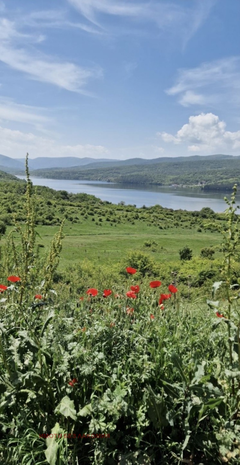 Satılık  Komplo bölge Pernik , yaz. Pçelina , 6000 metrekare | 97932374 - görüntü [8]