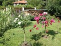 Продава КЪЩА, гр. Приморско, област Бургас, снимка 16