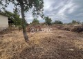 Продава ПАРЦЕЛ, гр. Килифарево, област Велико Търново, снимка 1