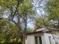 Продава  Парцел област Ловеч , с. Велчево , 800 кв.м | 31273927 - изображение [10]