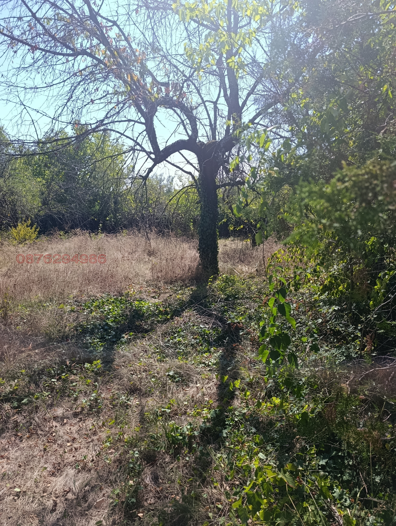 ������� ���� | Imot.bg � ����������� 10