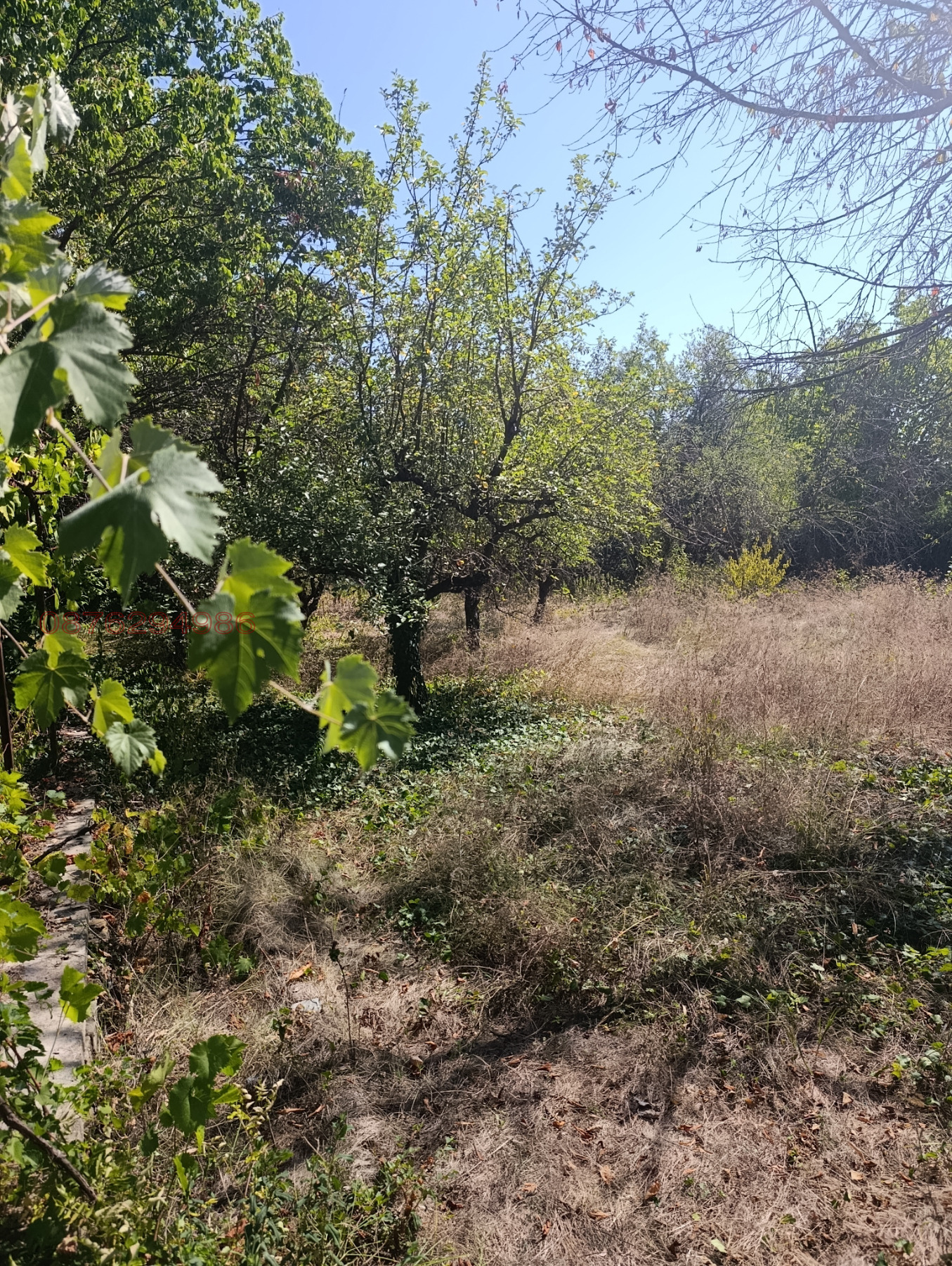 ������� ���� | Imot.bg � ����������� 9