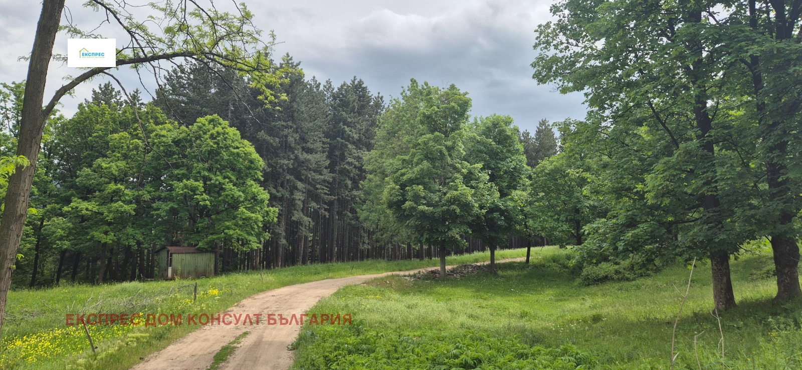 Продава ПАРЦЕЛ | Imot.bg — изображение 5