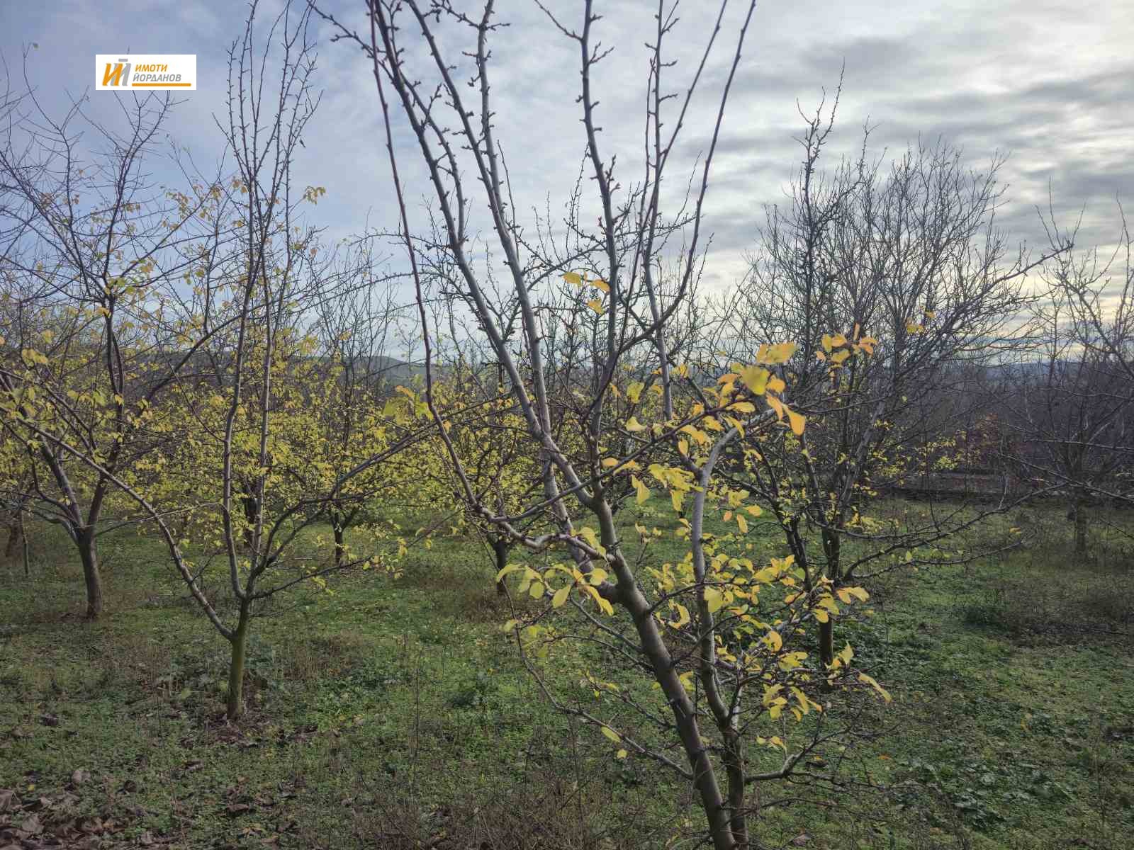 ������� ������ | Imot.bg � ����������� 5