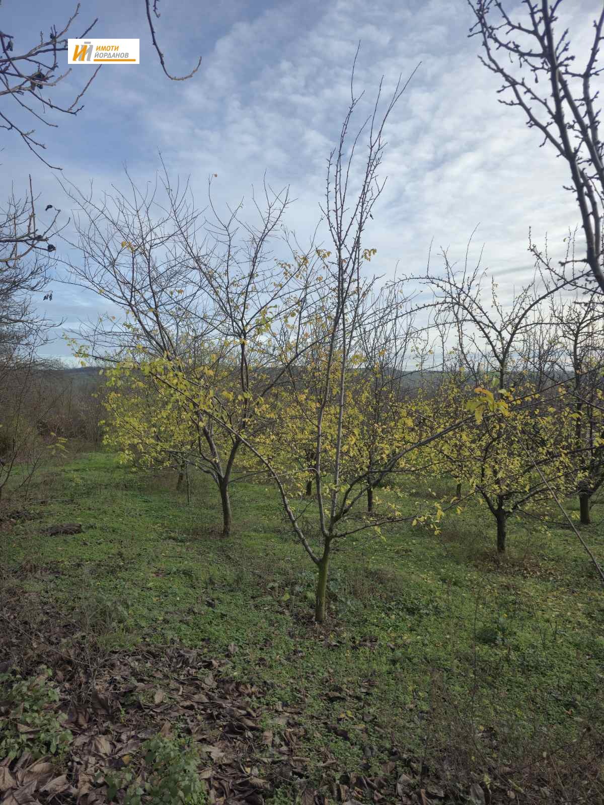 ������� ������ | Imot.bg � ����������� 4