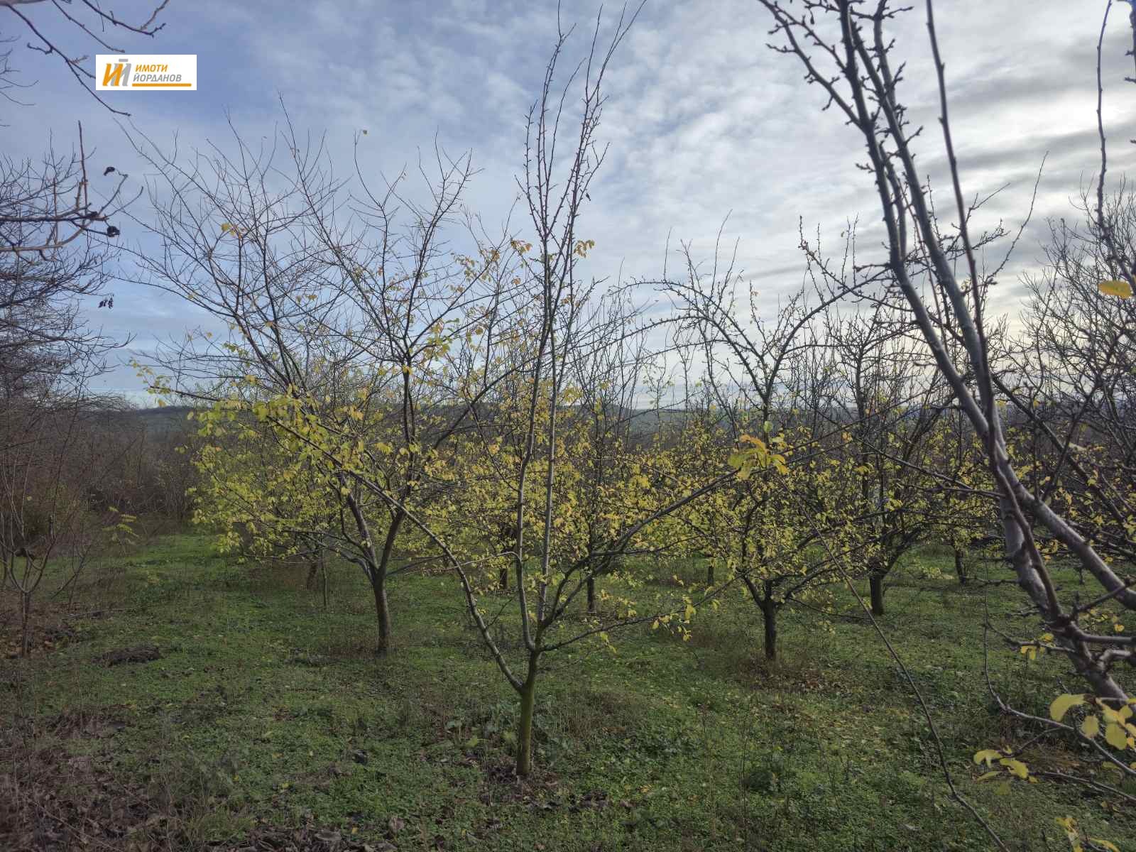 ������� ������ | Imot.bg � ����������� 3